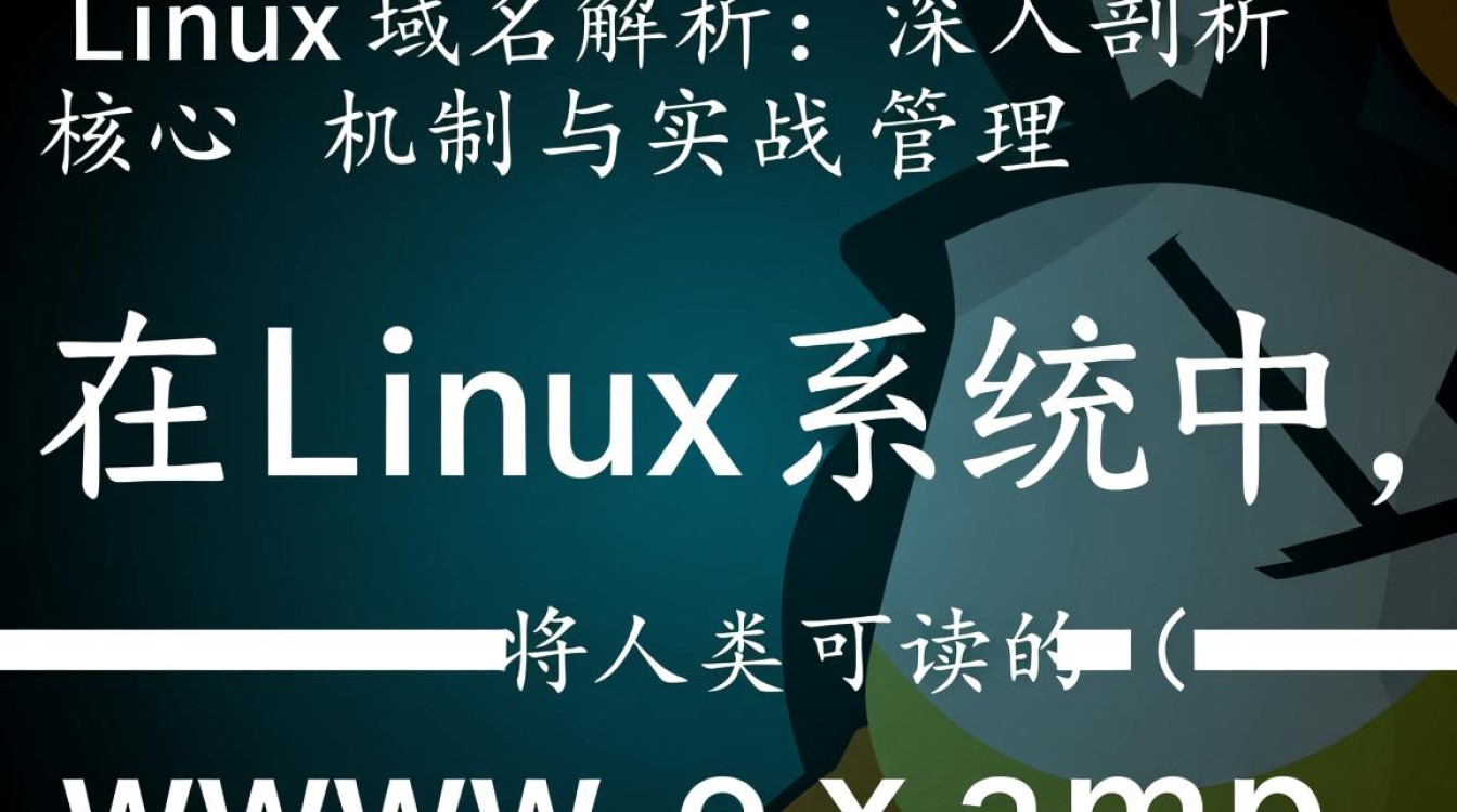 Linux环境下域名解析的具体实现步骤是怎样的？-好主机测评网