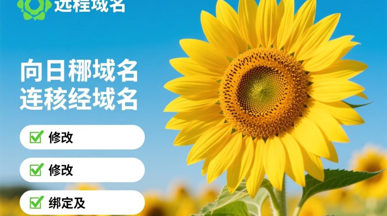 向日葵远程域名是什么，怎么查看向日葵远程域名-好主机测评网