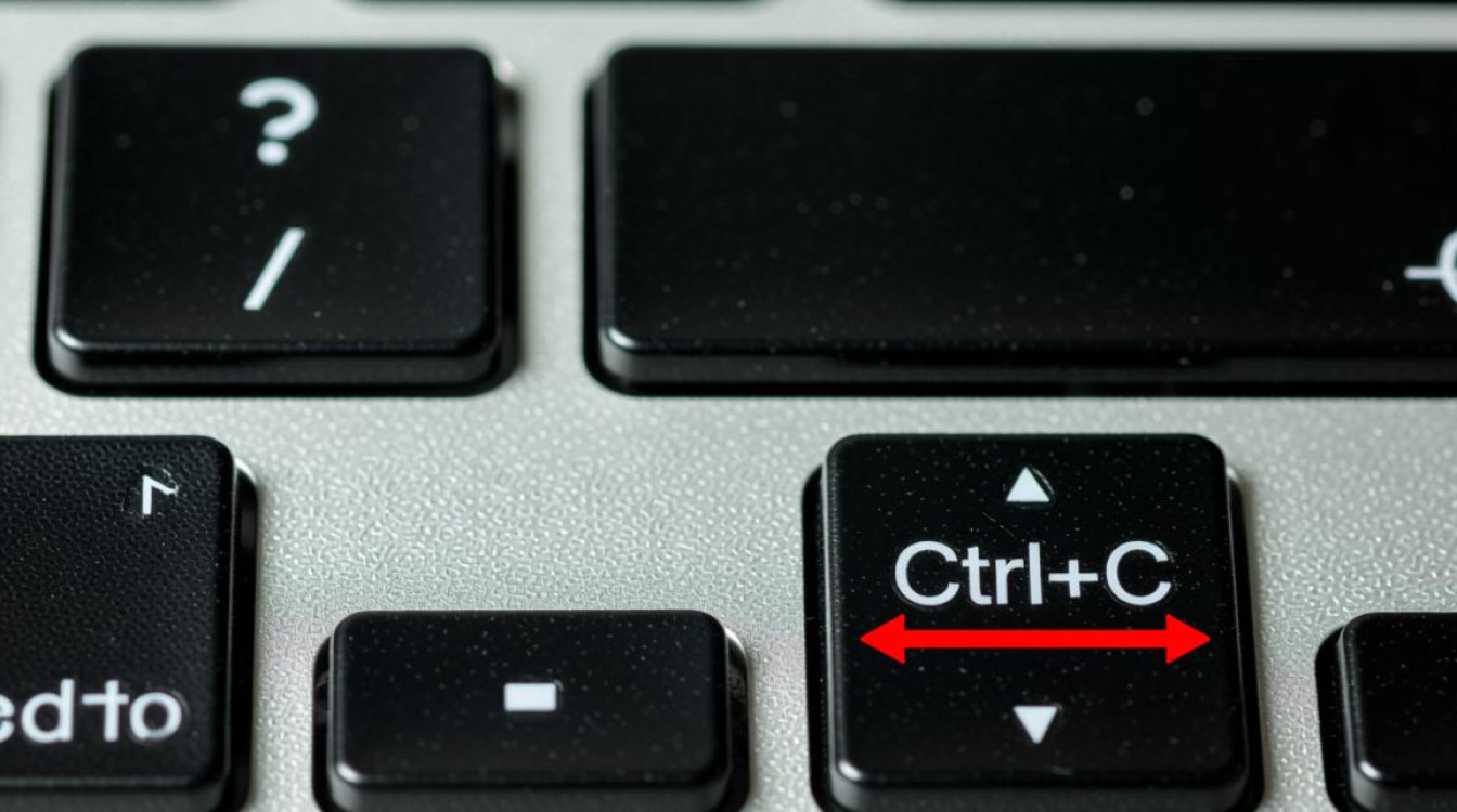 虚拟机Ctrl+C失效怎么办，虚拟机无法复制粘贴怎么解决