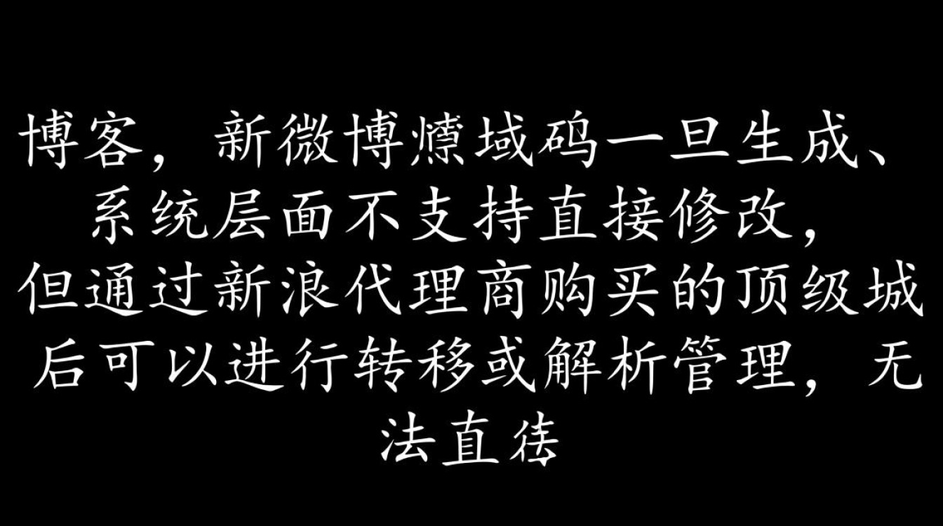 新浪域名可以改吗，新浪博客域名怎么修改才正确-好主机测评网