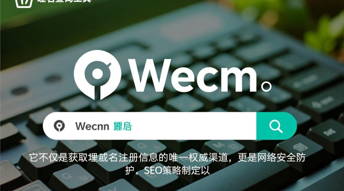 whois域名查询工具哪个好，域名注册信息怎么查
