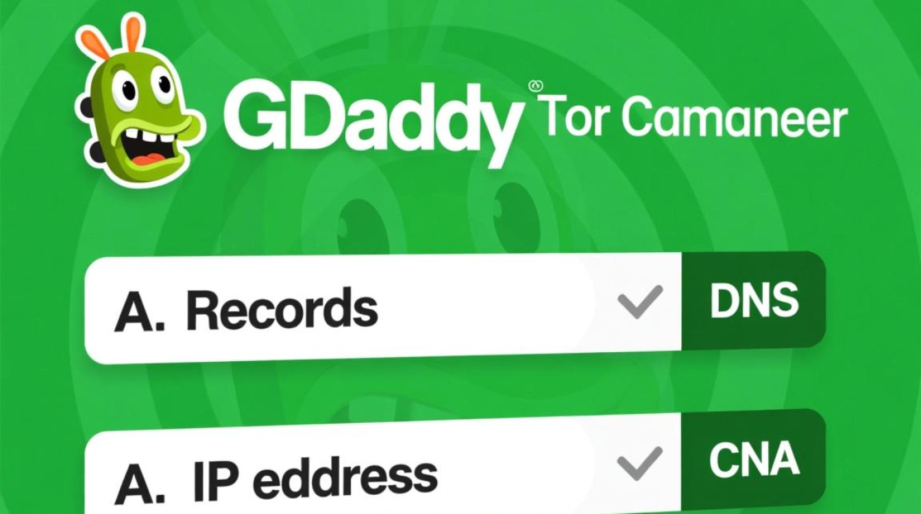 GoDaddy域名怎么指向服务器，DNS解析设置详细教程