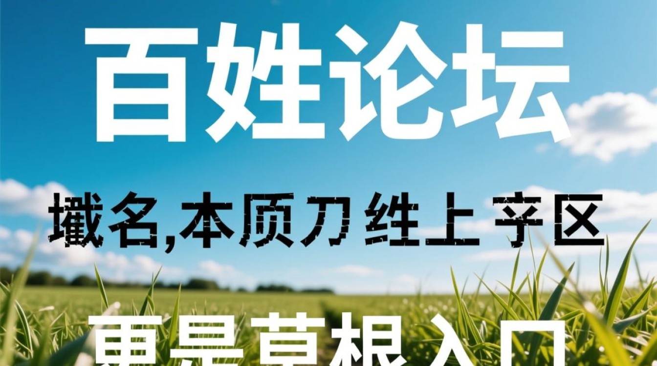 百姓论坛域名是什么意思，官网地址是多少？-好主机测评网